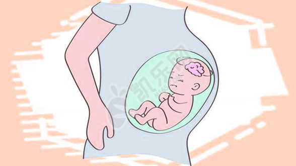 浙江捐卵价格，广州试管助孕包成功真的可信吗？