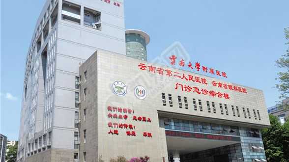 浙江省第三代试管婴儿医院，盛海琳60岁执意试管生下双胞胎女儿，11年后直言